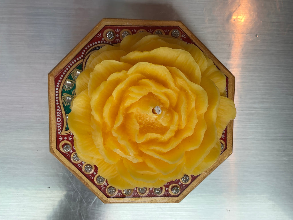 Peony Grace