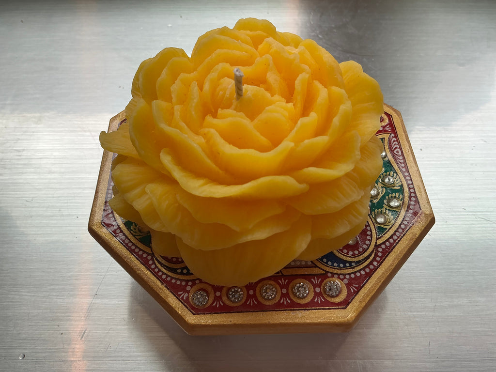 Peony Grace